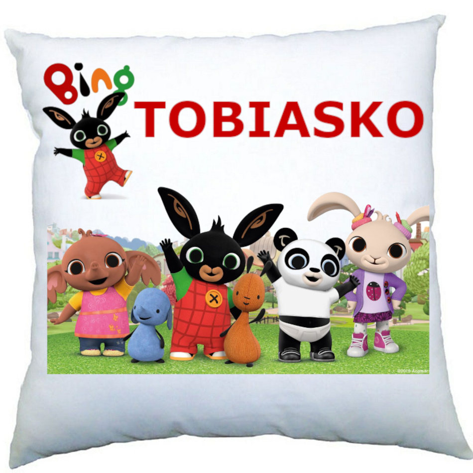 Vankúš Bing s menom